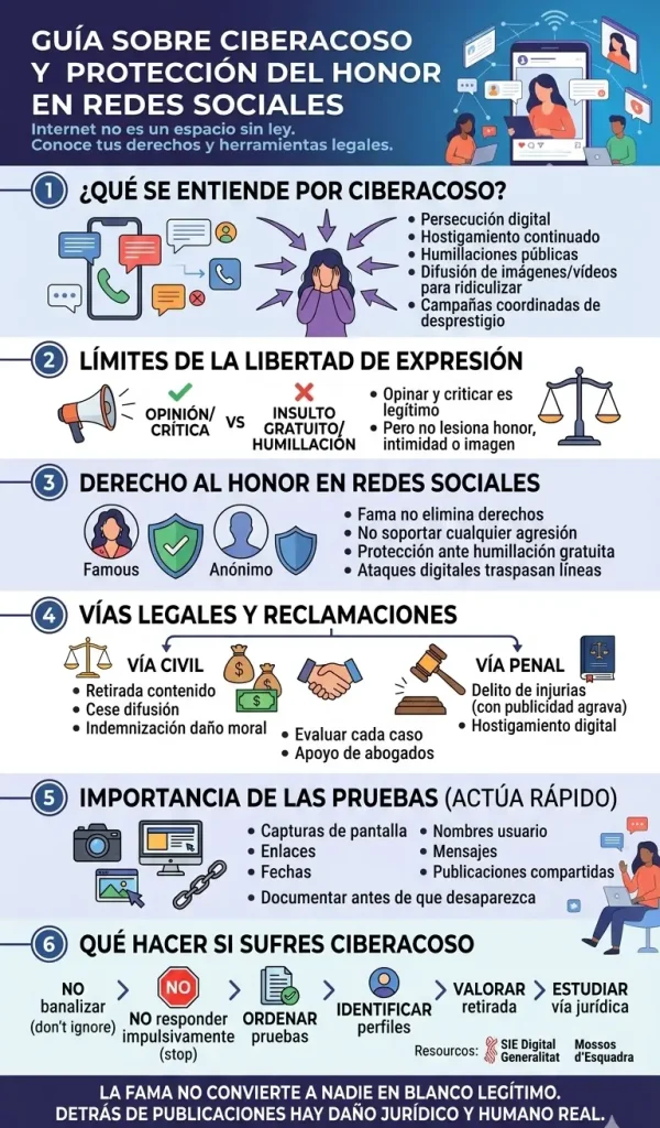 Infografía detallada que explica qué es el ciberacoso, los límites de la libertad de expresión, las vías legales civil y penal, la importancia de las pruebas y qué hacer si se sufre acoso online, ilustrada con iconos y texto claro en español.
